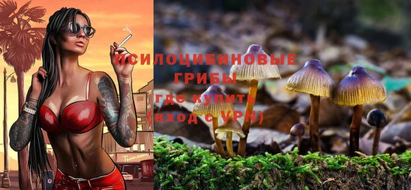 первитин Абаза