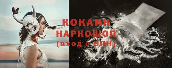 PSILOCYBIN Михайлов