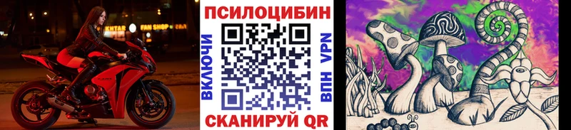 Галлюциногенные грибы Psilocybe  Ухта 